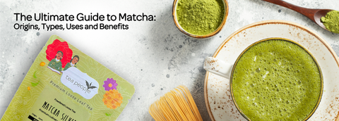 The Ultimate Guide to Matcha: Origins, Types, Uses and Benefits