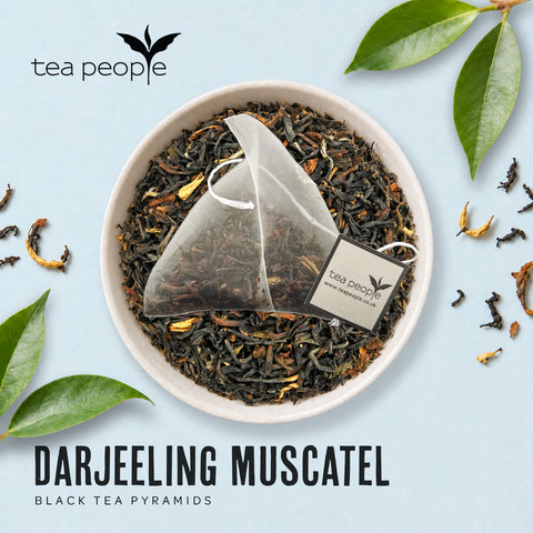 Darjeeling Muscatel - Black Tea Pyramids