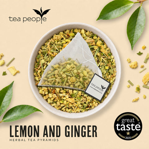 Lemon and Ginger - Herbal Tea Pyramids