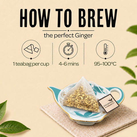 Ginger - Herbal Tea Pyramids