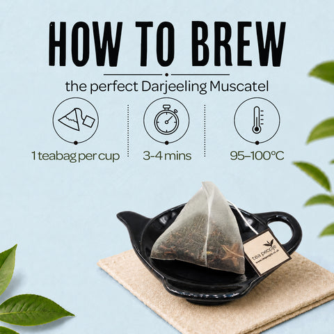 Darjeeling Muscatel - Black Tea Pyramids