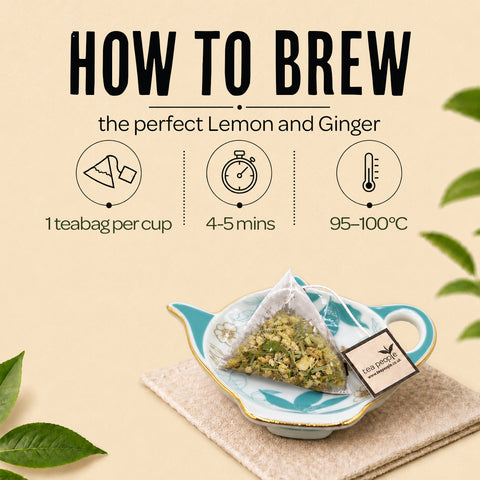 Lemon and Ginger - Herbal Tea Pyramids