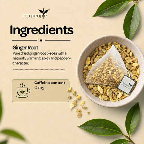Ginger - Herbal Tea Pyramids