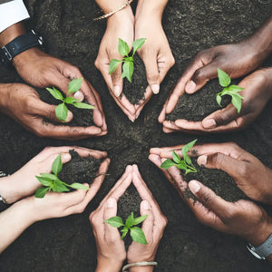 Sustainability