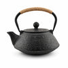 Japanese Cast Iron Teapot